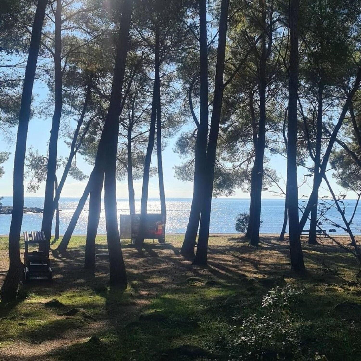 Apartments Berto - 500M To The Beach Rovinj Exterior foto
